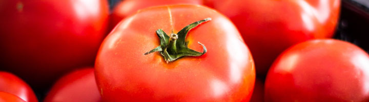 nutrition - bowl of tomatoes
